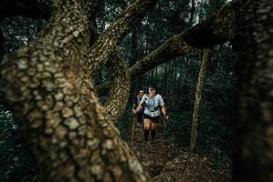 BIB: 
                            <button type="button" onclick="openModal(25697341)" class="btn btn-primary btn-sm float-right btn-popup" data-toggle="modal" data-target=".modal-high-quality">
                        <i class="fas fa-shopping-cart"></i> Add to Cart
                    </button>
                                            <button type="button" onclick="isThisMe(25697341, true)" class="btn btn-success btn-sm float-right btn-popup btn-isme hidden" data-toggle="tooltip" data-placement="bottom" title="นี่คือรูปของคุณใช่ไหม คลิกที่นี่เพื่อเอาเข้าอัลบั้ม">
                        <i class="fas fa-plus"></i> Add to album
                    </button>
                    <button type="button" onclick="isThisMe(25697341, false)" class="btn btn-warning btn-sm float-right btn-popup btn-isnotme hidden">
                        <i class="fas fa-ban"></i> Remove from album
                    </button>